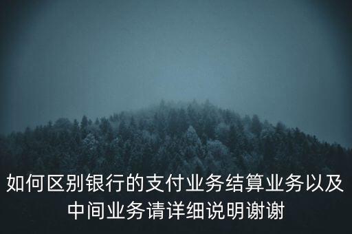 什么是支付結(jié)算業(yè)務(wù)，銀行的支付結(jié)算業(yè)務(wù)狀況指什么