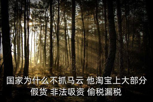 國家為什么不把馬云雙規(guī)了，國家為什么不抓馬云 他淘寶上大部分假貨 非法吸資 偷稅漏稅