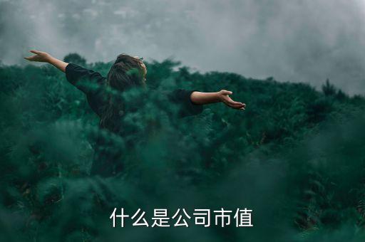 什么是公司市值