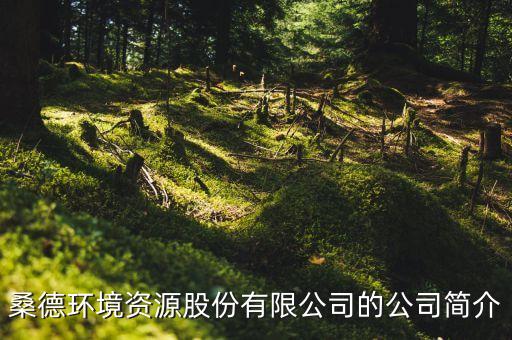 桑德環(huán)境資源股份有限公司的公司簡介