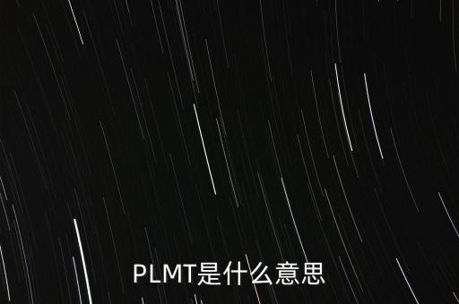 pettm什么意思，PLMT是什么意思