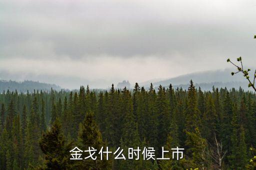 金戈什么時(shí)候上市
