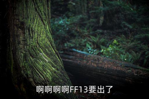 什么是賣方首席，啊啊啊啊FF13要出了