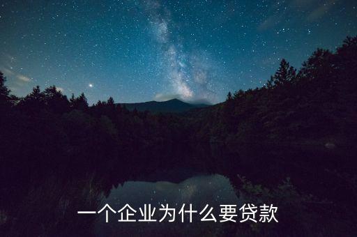 一個(gè)企業(yè)為什么要貸款