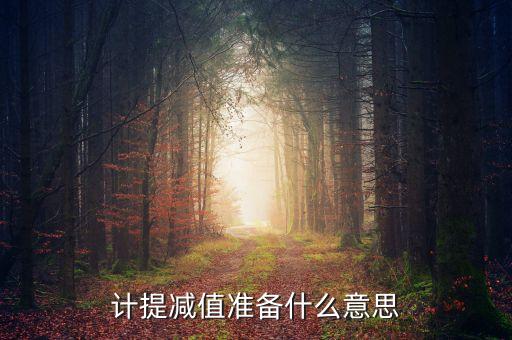 計提減值準備什么意思