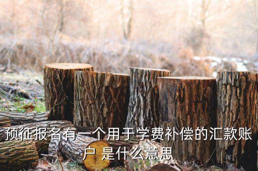 匯付開戶什么意思，預(yù)征報(bào)名有一個(gè)用于學(xué)費(fèi)補(bǔ)償?shù)膮R款賬戶 是什么意思