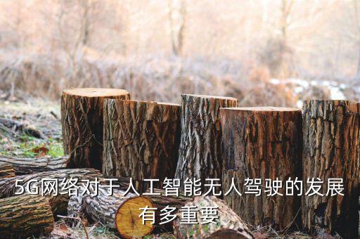 5G網(wǎng)絡對于人工智能無人駕駛的發(fā)展有多重要