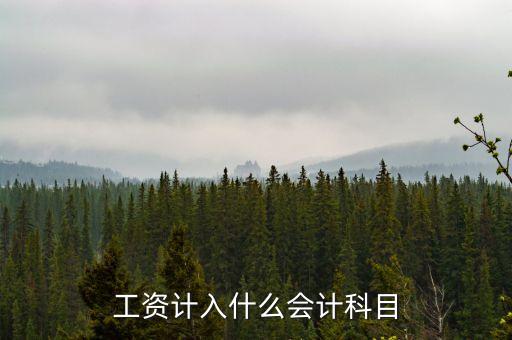 工資屬于什么科目，員工工資計入哪個科目