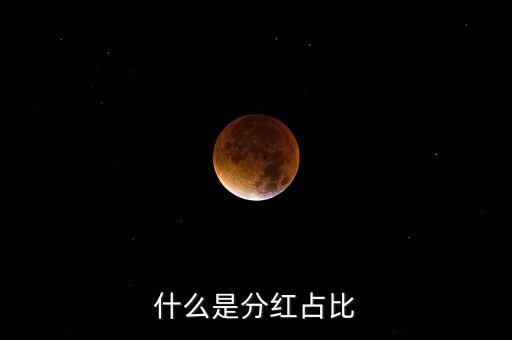 什么是分紅占比
