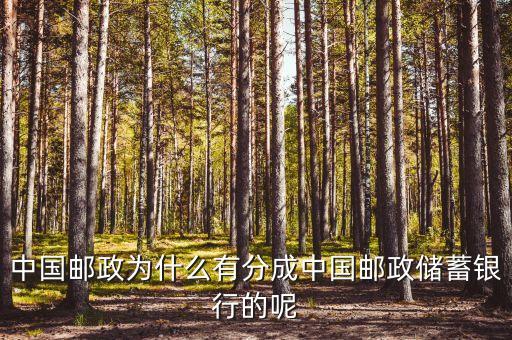 中國(guó)郵政為什么有分成中國(guó)郵政儲(chǔ)蓄銀行的呢