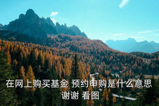 在網(wǎng)上購(gòu)買基金 預(yù)約申購(gòu)是什么意思 謝謝 看圖