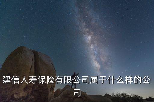 bnsf是什么公司，上海車森網(wǎng)絡(luò)科技有限公司是干什么的