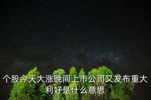 個(gè)股利好是什么意思，個(gè)股今天大漲晚間上市公司又發(fā)布重大利好是什么意思