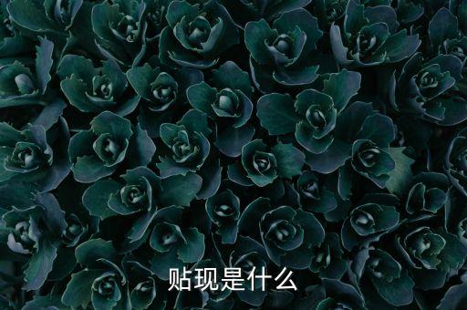 什么是發(fā)票貼現(xiàn)，會計上的貼現(xiàn)與兌現(xiàn)有什么區(qū)別