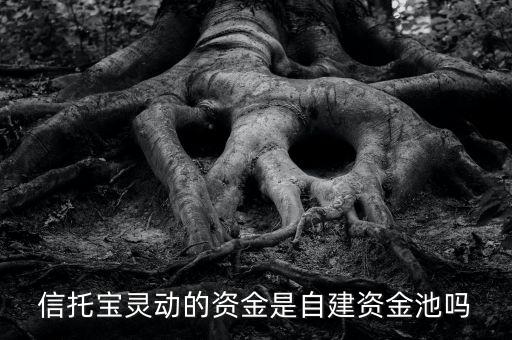 信托寶是什么，信托寶靈動的資金是自建資金池嗎