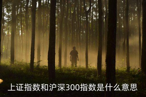 什么是滬深300etf，滬深300etf有多少只