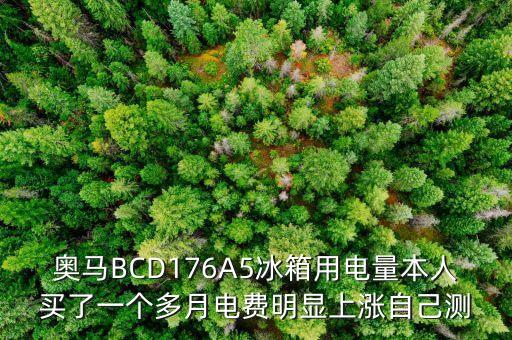 奧馬BCD176A5冰箱用電量本人買(mǎi)了一個(gè)多月電費(fèi)明顯上漲自己測(cè)