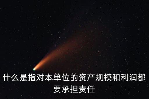 資產(chǎn)規(guī)模指的是什么，資產(chǎn)規(guī)模和份額規(guī)模分別指什么