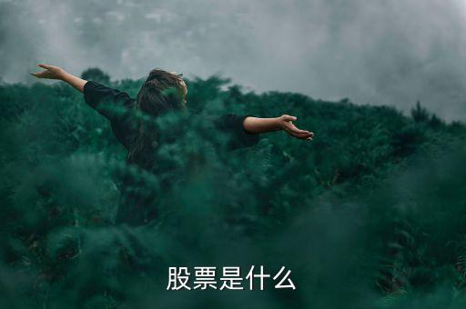 股票是什么
