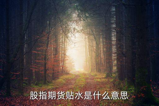 股票貼水是什么意思，股指期貨貼水是什么意思