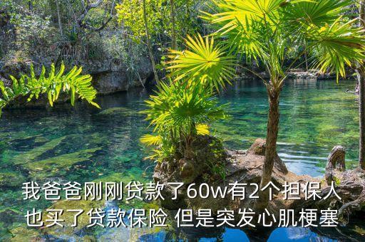 借意險(xiǎn)是什么意思，我于12月1號(hào)在高新農(nóng)行按揭房貸貸款31萬(wàn)10年繳清貸款農(nóng)行工