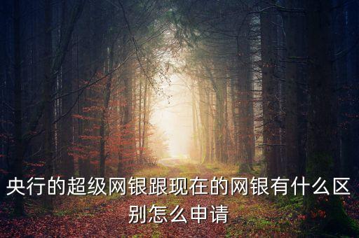 什么是超級央行，央行超級網(wǎng)銀有什么作用