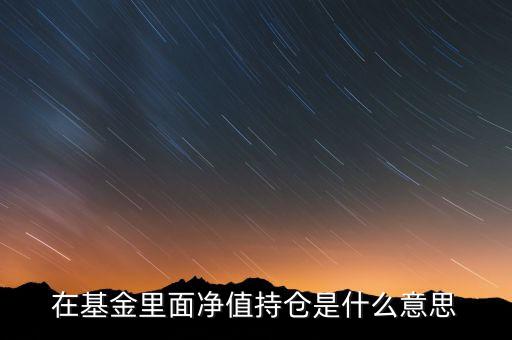 什么叫持倉凈額，在基金里面凈值持倉是什么意思