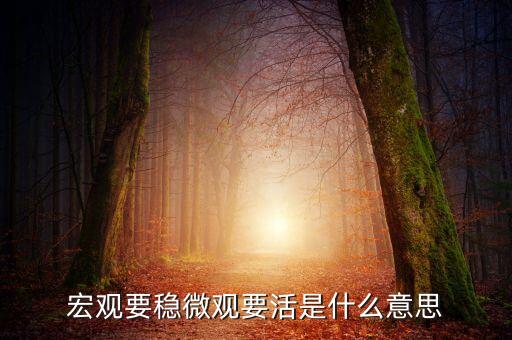 宏觀政策要穩(wěn)具體指什么，宏觀要穩(wěn)微觀要活是什么意思