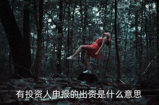 有投資人申報的出資是什么意思