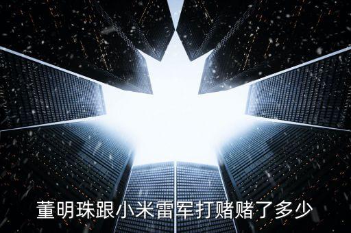 董明珠和雷軍打賭什么，董明珠和雷軍打的什么賭誰會(huì)贏