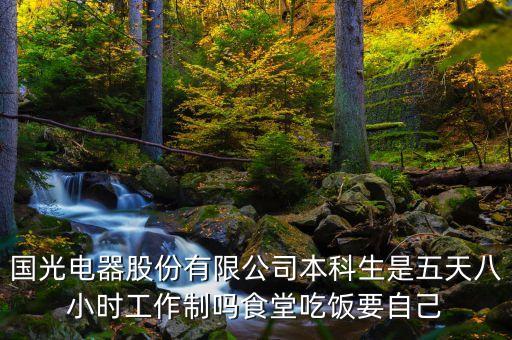 國光電器主要干什么的，國光電器生產(chǎn)什么