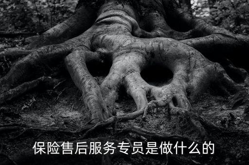 保險(xiǎn)公司售后服務(wù)專員做什么，保險(xiǎn)售后服務(wù)人員是干什么的