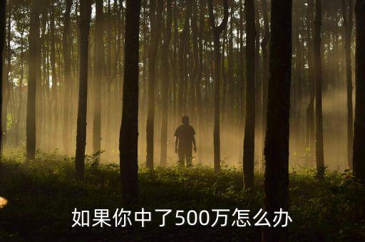 如果你中了500萬怎么辦
