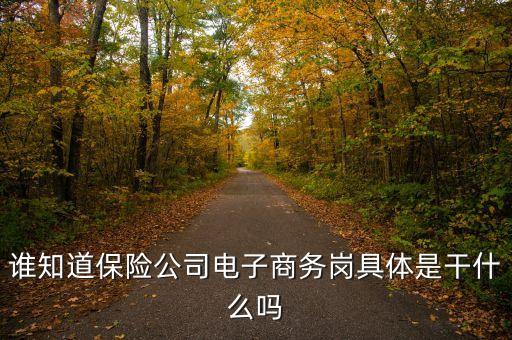 財險電子商務干什么，誰知道保險公司電子商務崗具體是干什么嗎