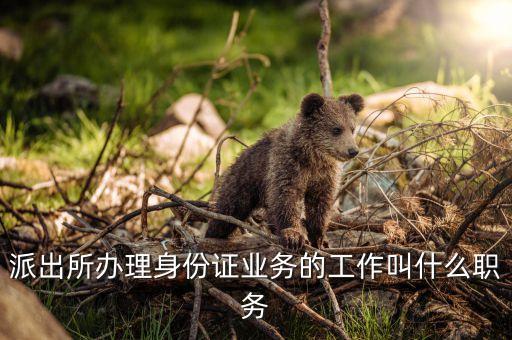 身份證歸什么管，身份證歸屬地姓名是什么