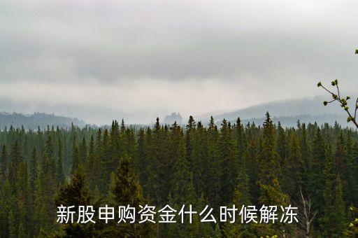 本周打新資金什么時(shí)候解凍，打新的資金什么時(shí)候解凍