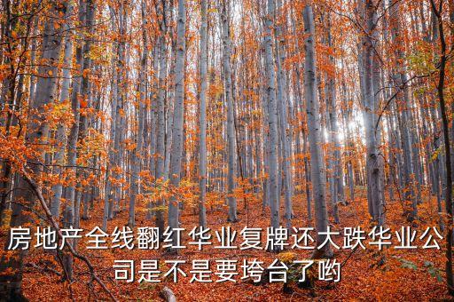 華業(yè)資本為什么停牌，華業(yè)地產6月13日停牌了為什么停牌了