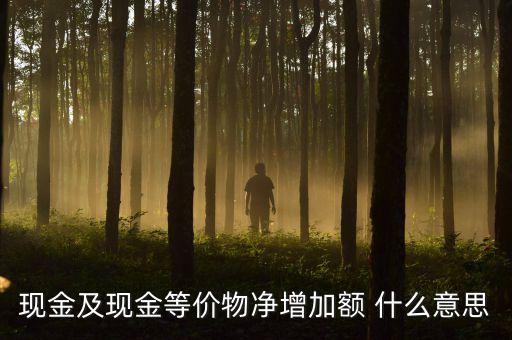 現(xiàn)金及現(xiàn)金等價(jià)物凈增加額 什么意思