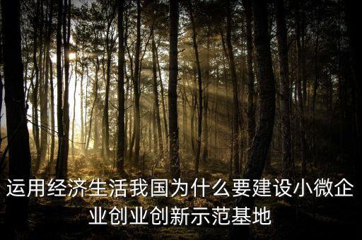 為什么小微企業(yè)，運用經(jīng)濟生活我國為什么要建設小微企業(yè)創(chuàng)業(yè)創(chuàng)新示范基地