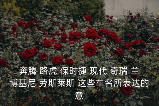 奇瑞路虎是什么意思，奇瑞陸虎和捷豹陸虎是怎么回事都是福特旗下的品牌嗎