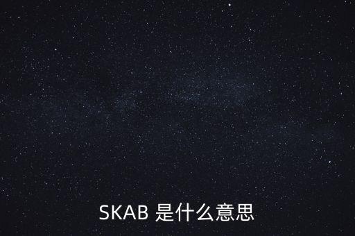 SKAB 是什么意思
