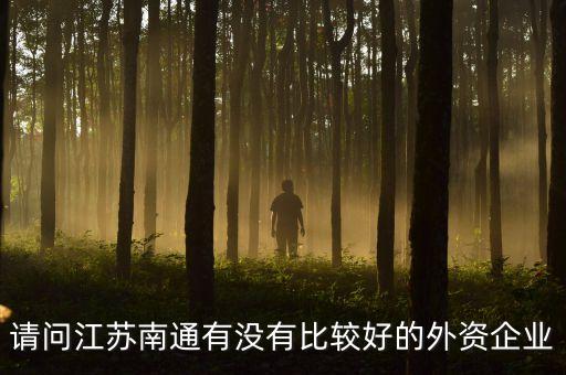 請(qǐng)問江蘇南通有沒有比較好的外資企業(yè)