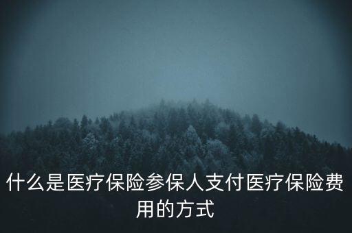 什么是醫(yī)療保險參保人支付醫(yī)療保險費用的方式