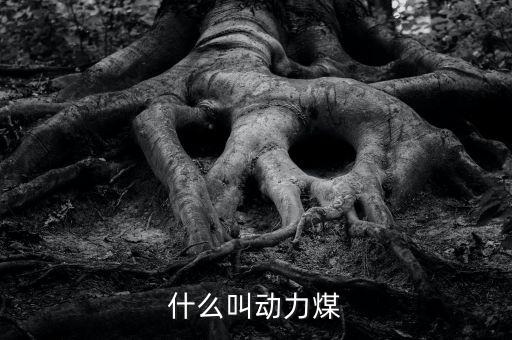 動(dòng)力煤什么意思，什么叫動(dòng)力煤
