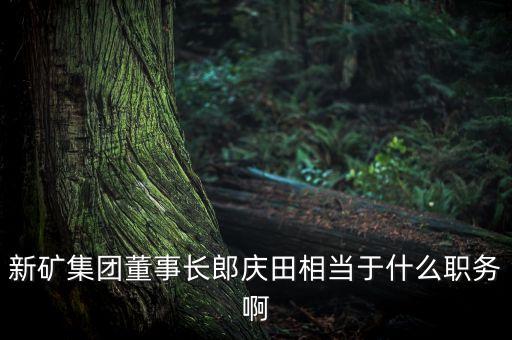 新礦集團(tuán)董事長(zhǎng)郎慶田相當(dāng)于什么職務(wù)啊