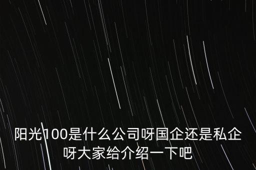 陽(yáng)光100是什么公司呀國(guó)企還是私企呀大家給介紹一下吧