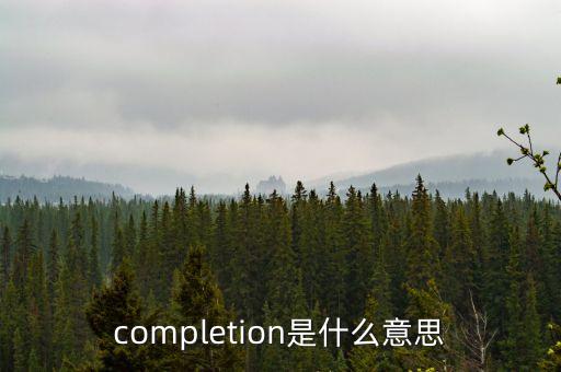 放緩是什么意思，completion是什么意思
