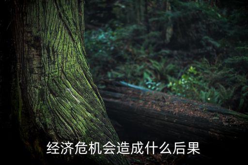 經(jīng)濟危機會造成什么后果