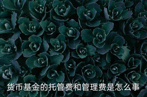 貨幣基金的托管費(fèi)和管理費(fèi)是怎么事