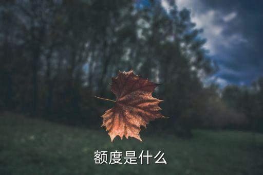 產(chǎn)品額度是什么意思，民生銀行理財(cái)產(chǎn)品額度100是啥意思